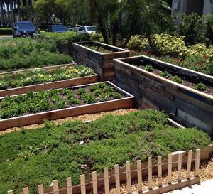 Farmer S Table Boca Raton Miami